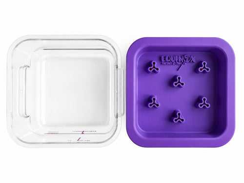 The Little Dipper Kit - Container & Dipper